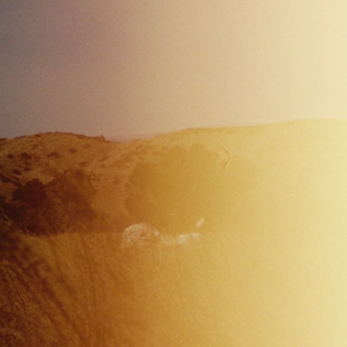 Elizabeth A. Carver - "The Cart Before the Horse" CD *SOLD OUT*