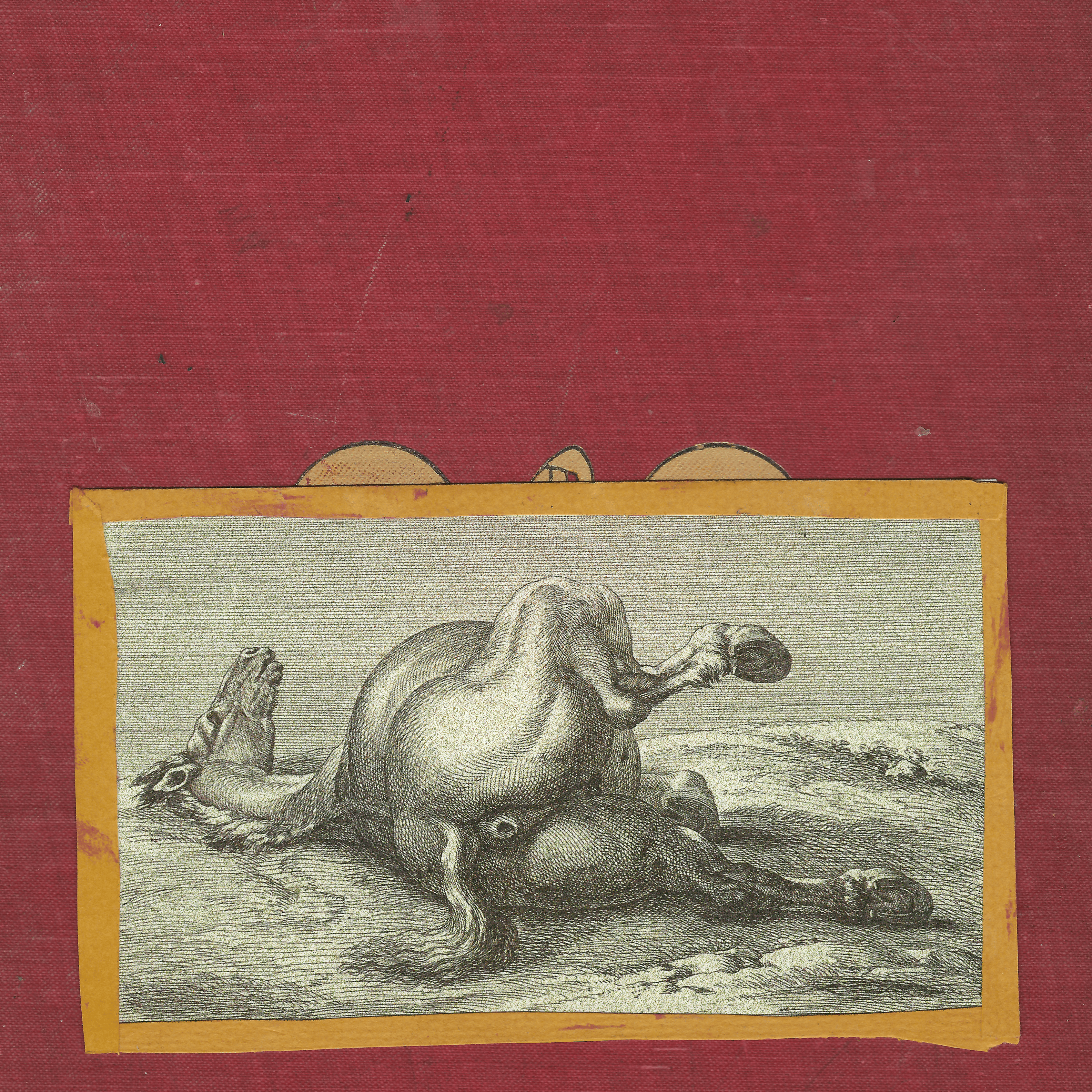 Shearling - "Motherfucker, I am Both: 'Amen' and 'Hallelujah'" CD