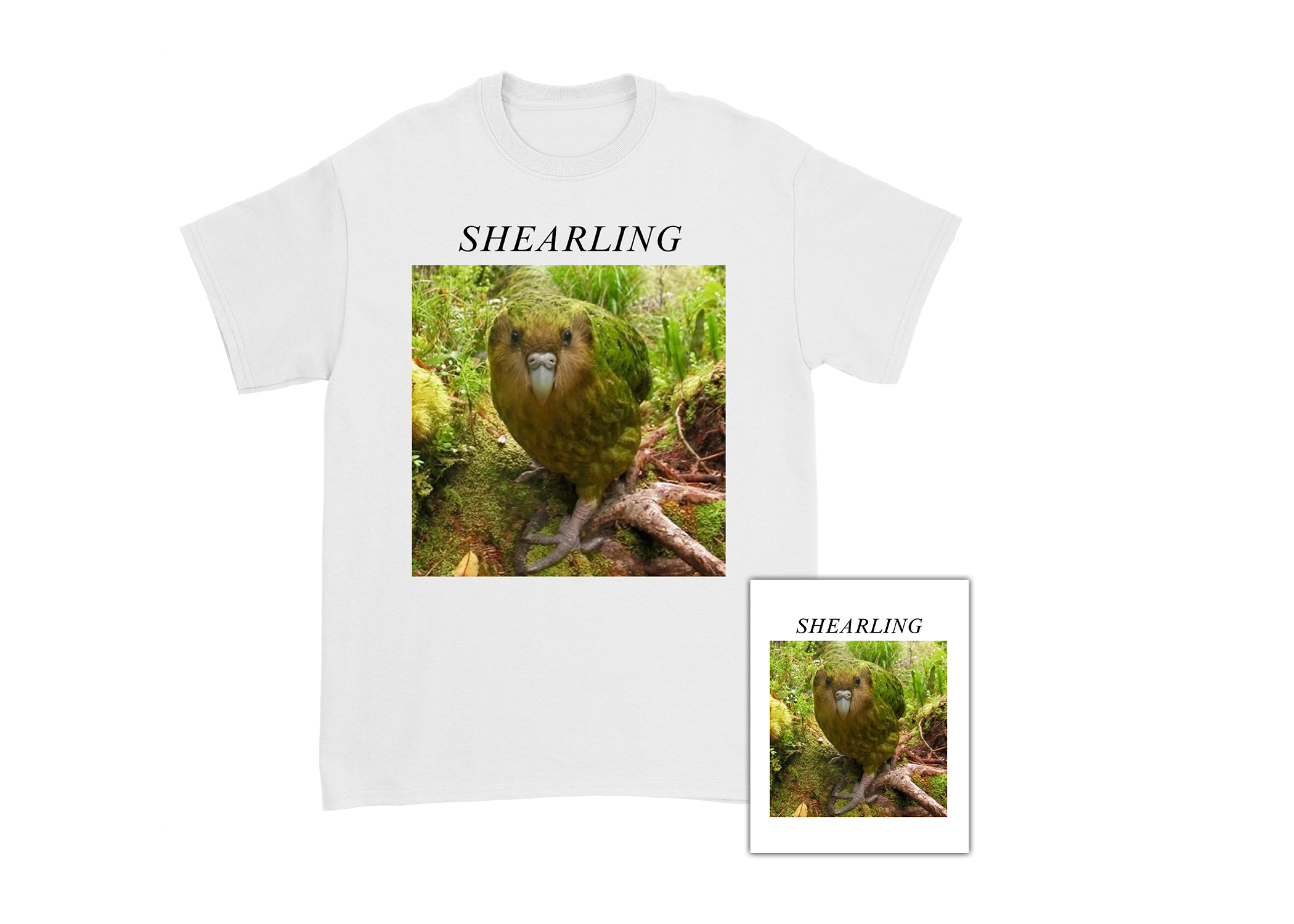 Shearling - "Kakapo" Tee + Sticker Bundle